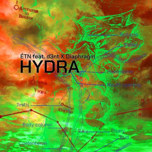 Hydra (feat d3nt X Diaphragm)