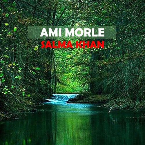 Ami Morle