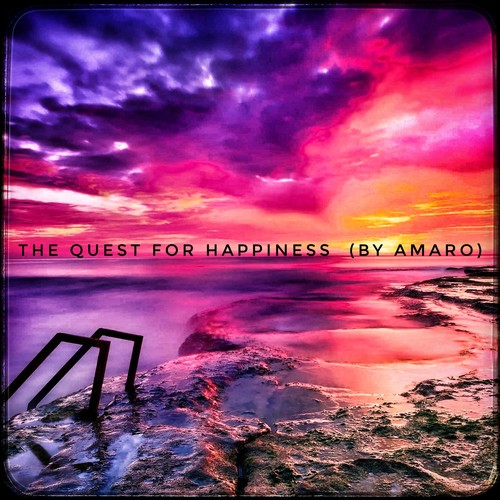 The Quest For Happiness