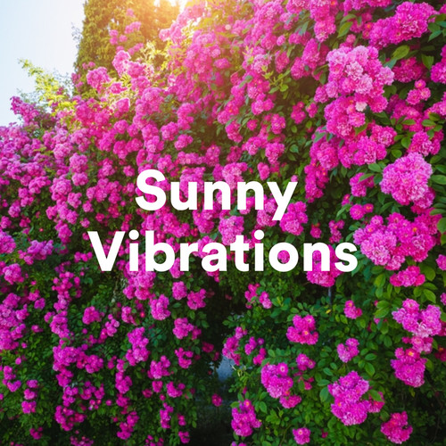 Sunny Vibrations (Explicit)