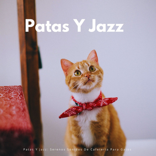 Patas Y Jazz: Serenos Sonidos De Cafetería Para Gatos