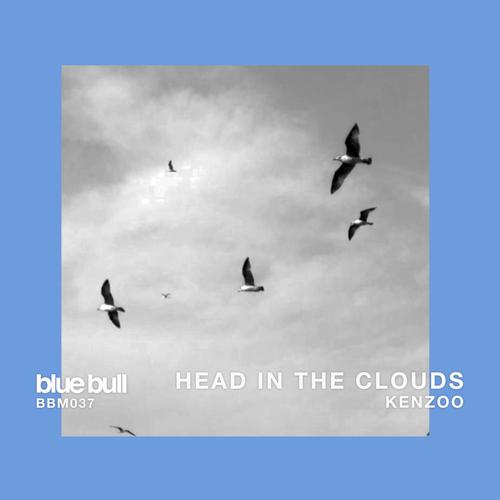 Head In The Clouds