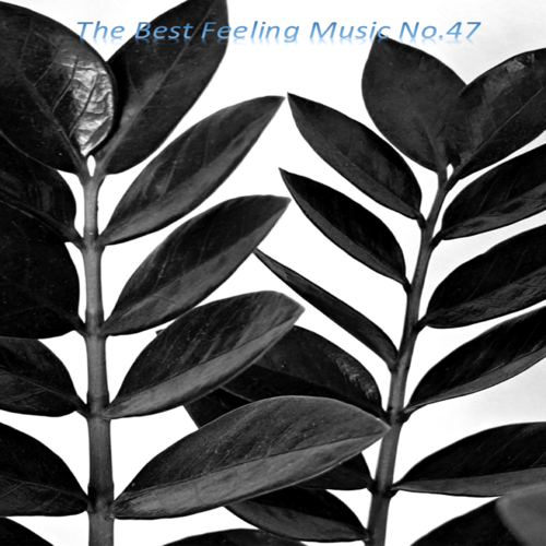 The Best Feeling Music No.47