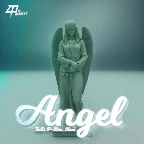 ANGEL (TaD, P-KIM, KIMI)