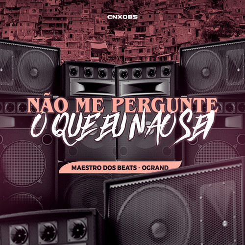 Não me pergunte o que eu não sei (feat. Ogrand) (Remix) [Explicit]