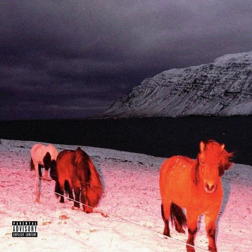 New Mexico (Explicit)