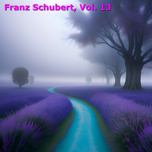 Franz schubert, Vol. 13