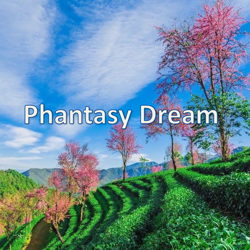 Phantasy Dream