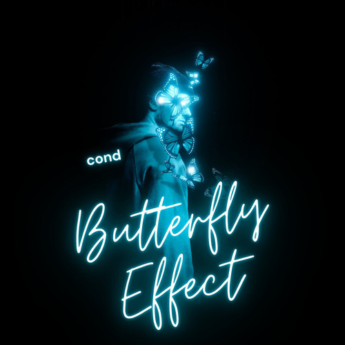 Butterfly Effect