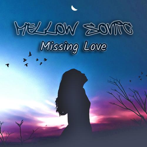 Missing Love