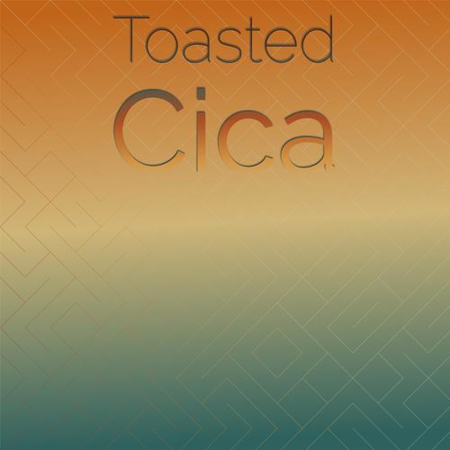 Toasted Cica