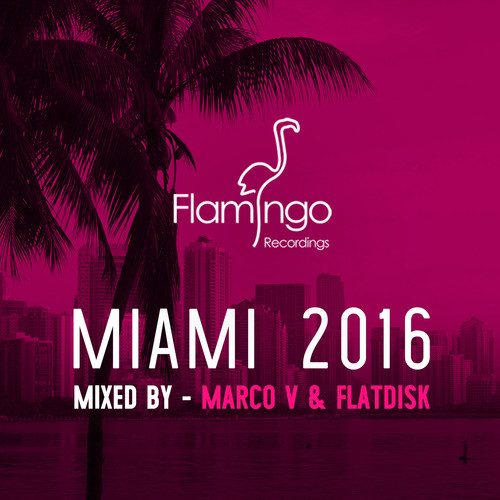 Flamingo Miami 2016