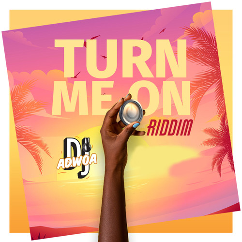 Turn Me on ( Riddim )