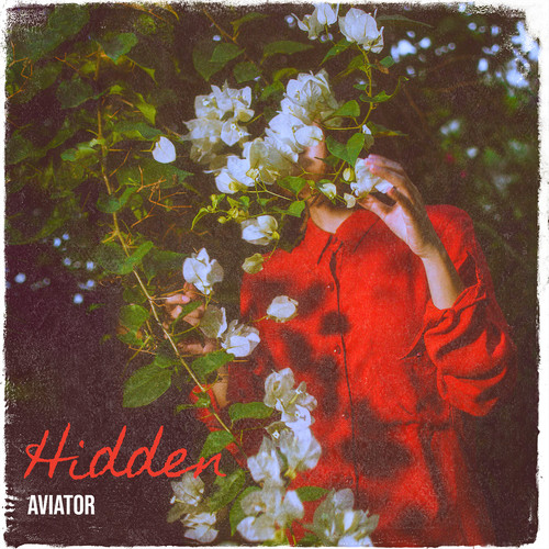 Hidden