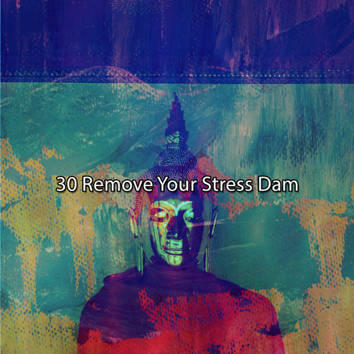 30 Remove Your Stress Dam