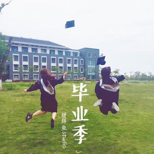 又是一年毕业季
