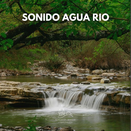 Sonido Agua Rio