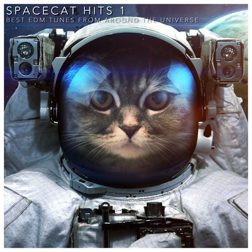 Spacecat Hits 1