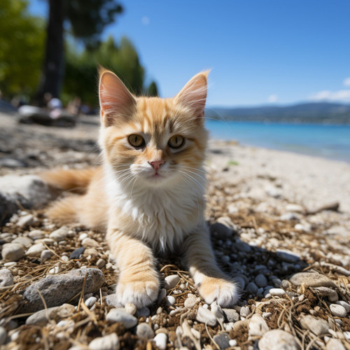 Melodías Felinas Oceánicas: Bienestar Musical Para Amigos Felinos