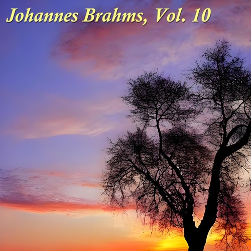 Johannes brahms, Vol. 10