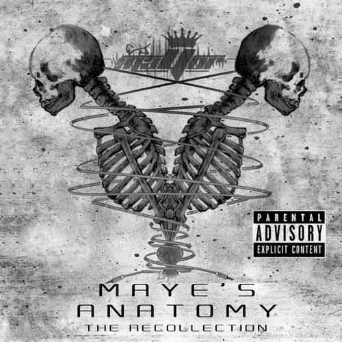 Maye's Anatomy: The Recollection (Explicit)