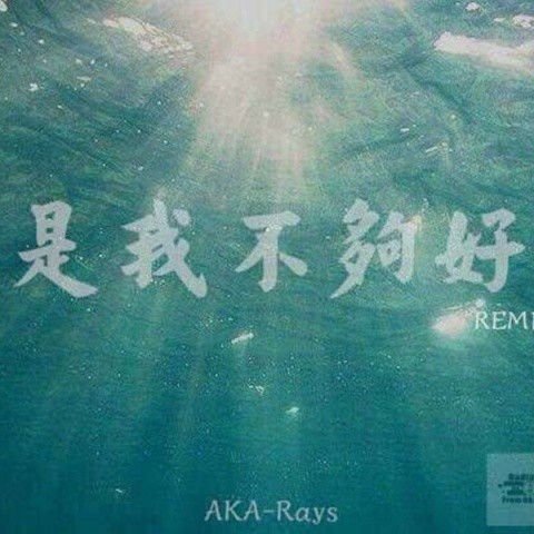 《是我不够好》Remix