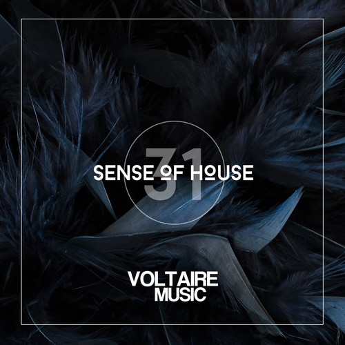 Sense of House, Vol. 31