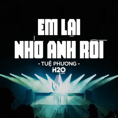 Em Lại Nhớ Anh Rồi (Remix)