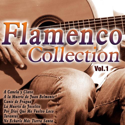 Flamenco Collection, Vol. 1