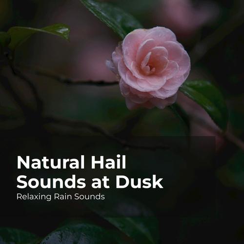 Natural Hail Sounds at Dusk