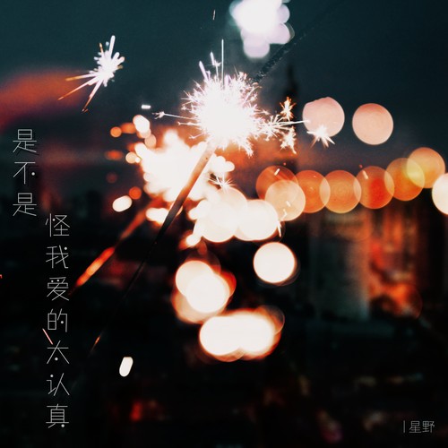 是不是怪我爱的太认真