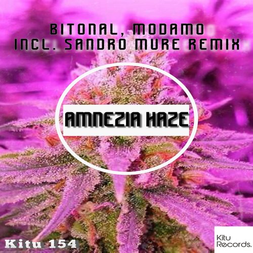 Amnezia Haze (Sandro Mure Remix)