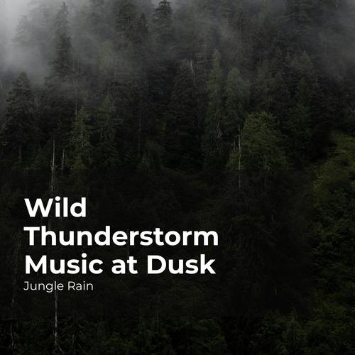 Wild Thunderstorm Music at Dusk