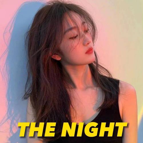 DJ THE NIGHT MENGKANE