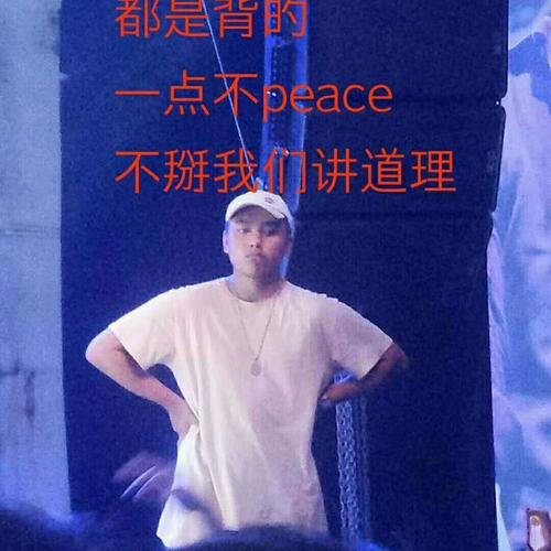 大众Homie (人柱力diss）