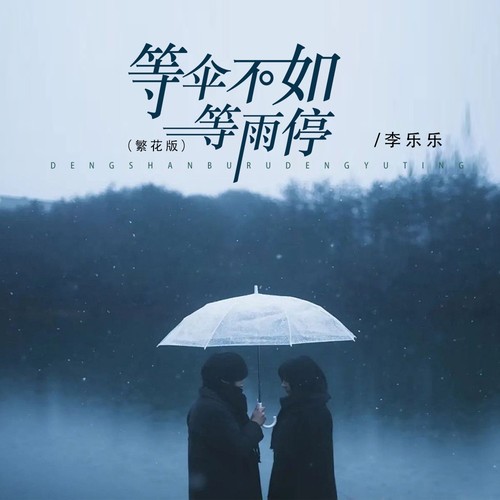 等伞不如等雨停（繁花版）