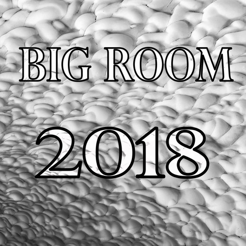 Big Room 2018