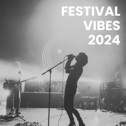 Festival Vibes 2024 (Explicit)