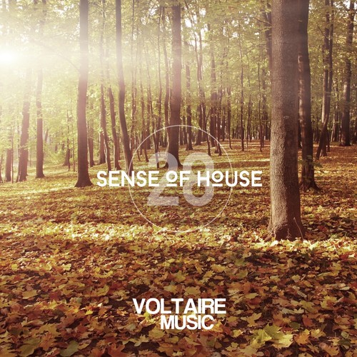 Sense of House, Vol. 28