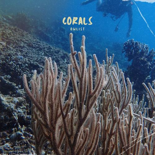 Corals