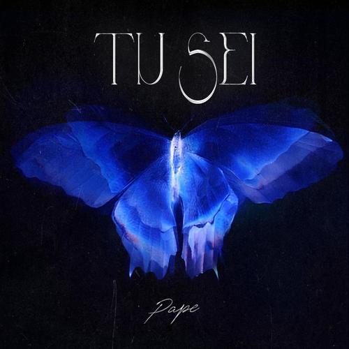 Tu sei (feat. Pape) [Explicit]