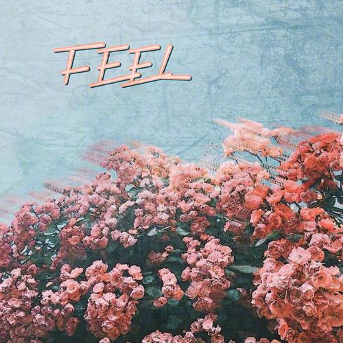 FEEL
