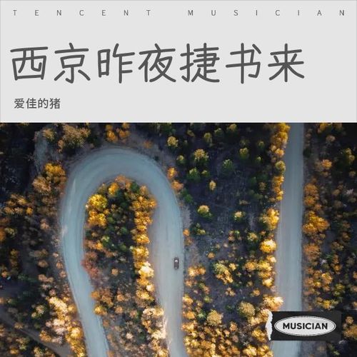 爱佳的猪原创集