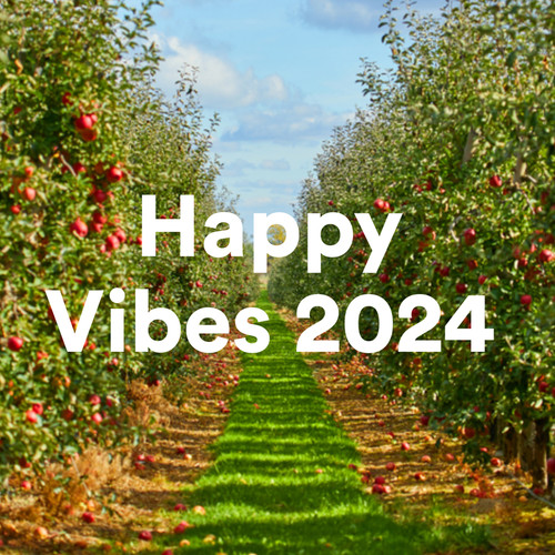 Happy Vibes 2024 (Explicit)