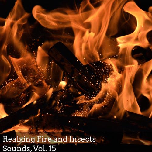 Realxing Fire and Insects Sounds, Vol. 15