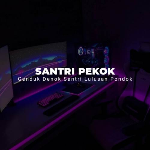 DJ GENDUK DENOK SANTRI LULUSAN PONDOK ( SANTRI PEKOK )