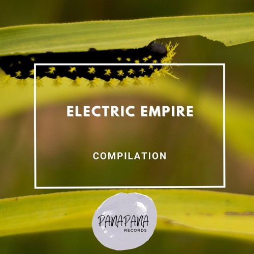 Electric Empire