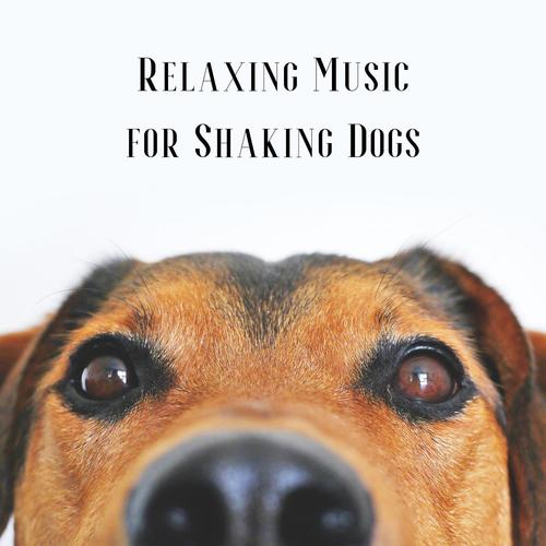 Relaxing Music for Shaking Dogs