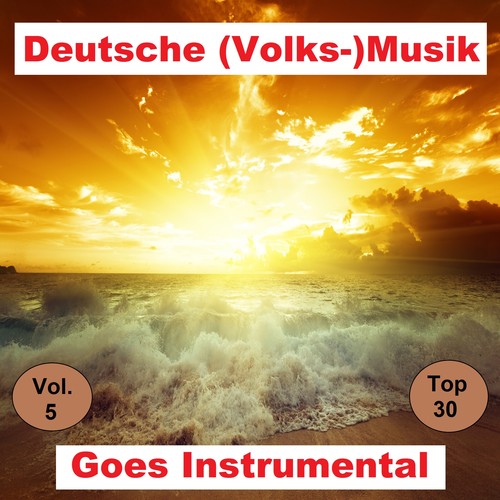 Top 30: Deutsche (Volks-)Musik Goes Instrumental, Vol. 5