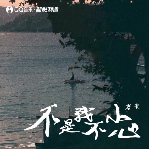 岩贵-不是我不小心.ape 下载插图